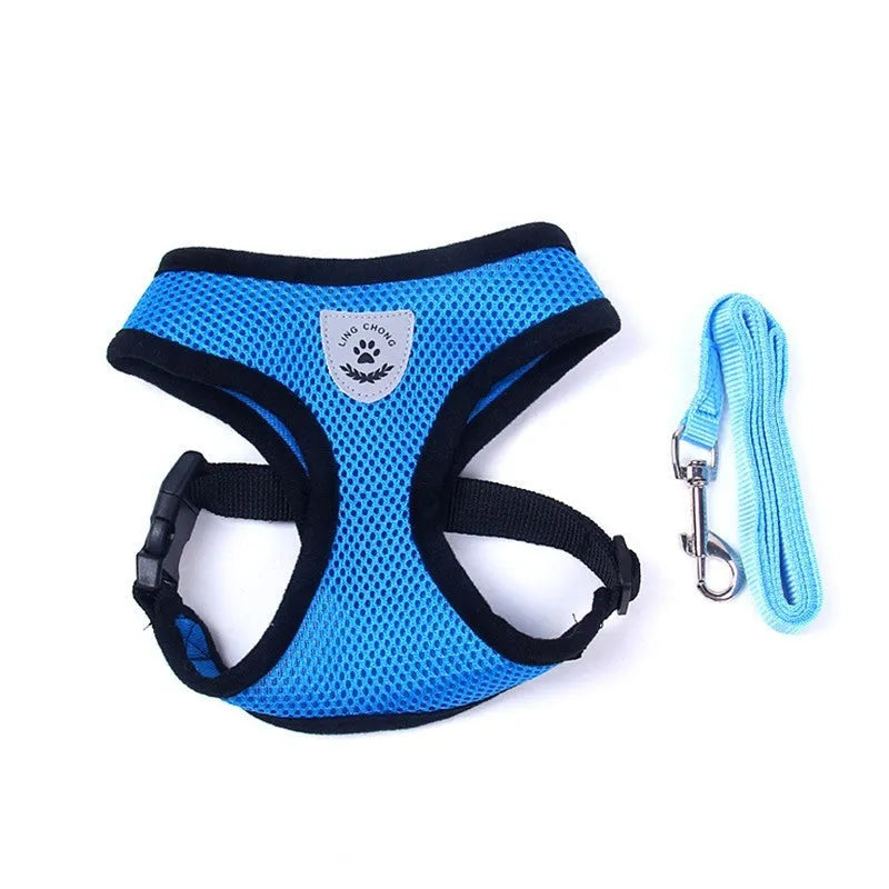 Pet car seat belt and leash with 220g mesh, 1.2 metre rope and 1.5cm width, in black red blue pink