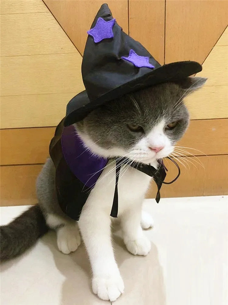 Purple and black satin pet wizard Halloween costume set with cloak and hat for cats and small dogs