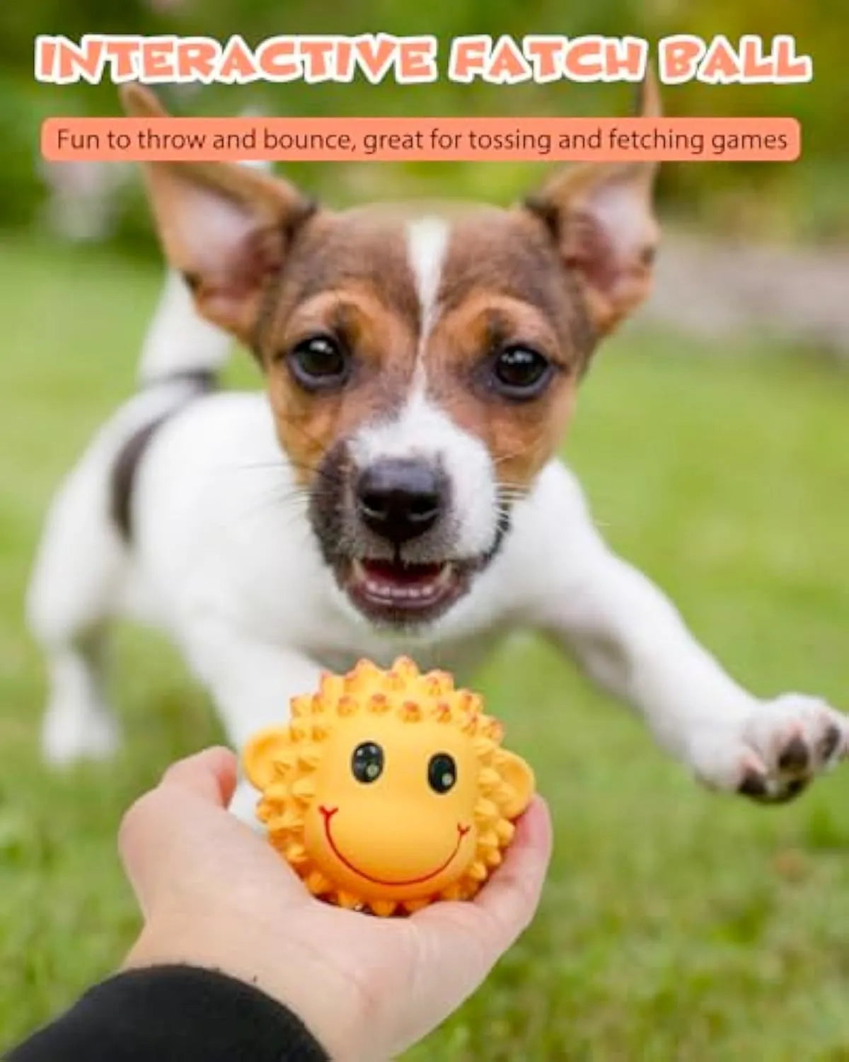 Orange and yellow latex squeaky dog toys with spiky texture for teeth cleaning