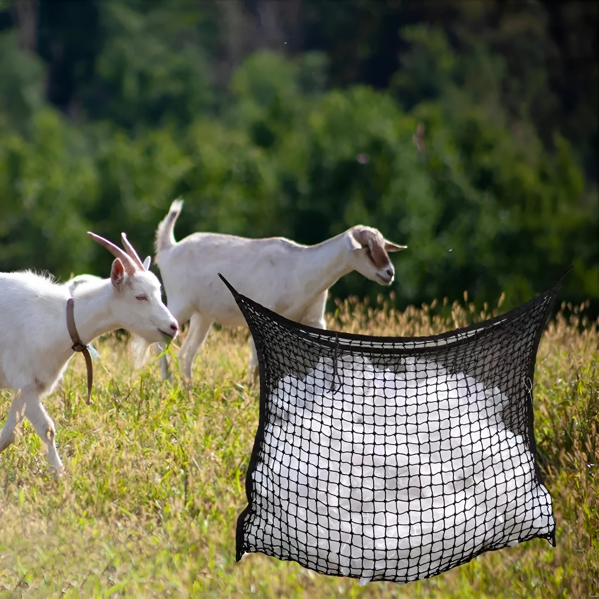 Woven grid horse hanging feeding bag in black or white with PE rope construction for cattle and sheep