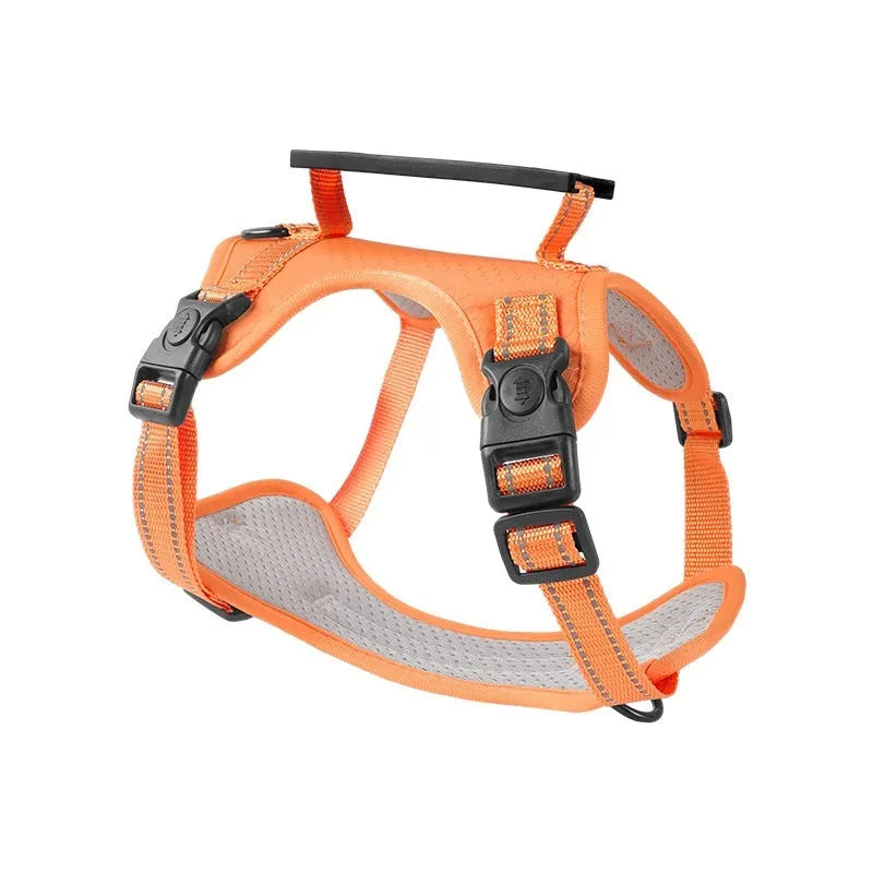Polyester dog harness lead with a chest strap shown in multiple colours on a neutral background.