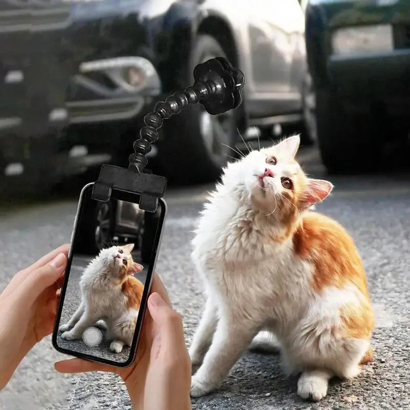 Black pet selfie stick with rotating snack clip attached to mobile phone for animal photography