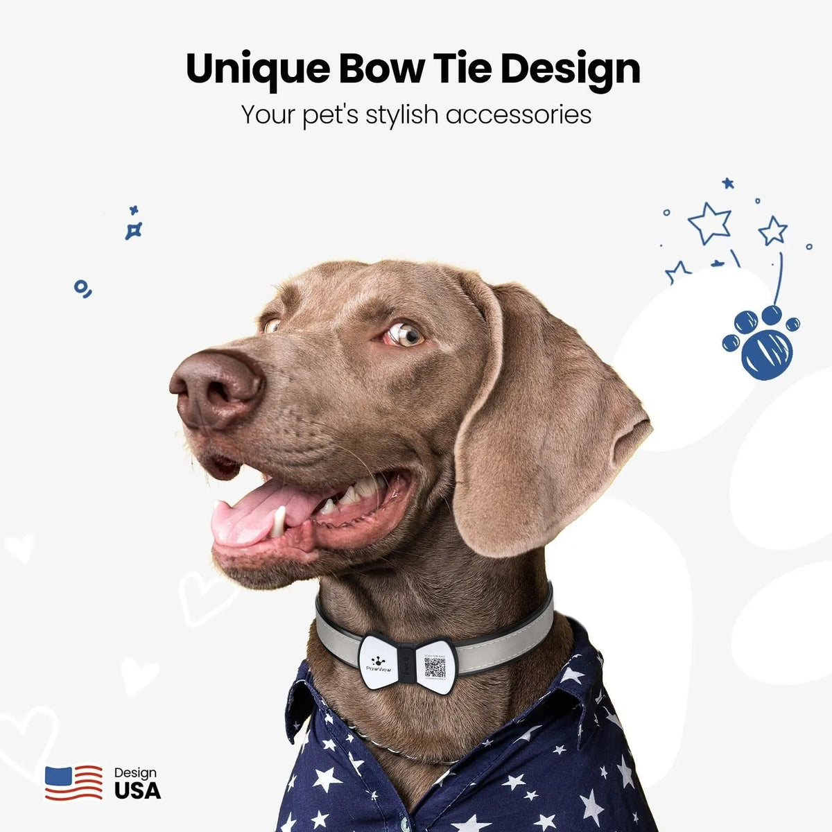 NFC smart QR pet tag in black silicone with printed bowknot pattern, attached to a matching collar on a light background