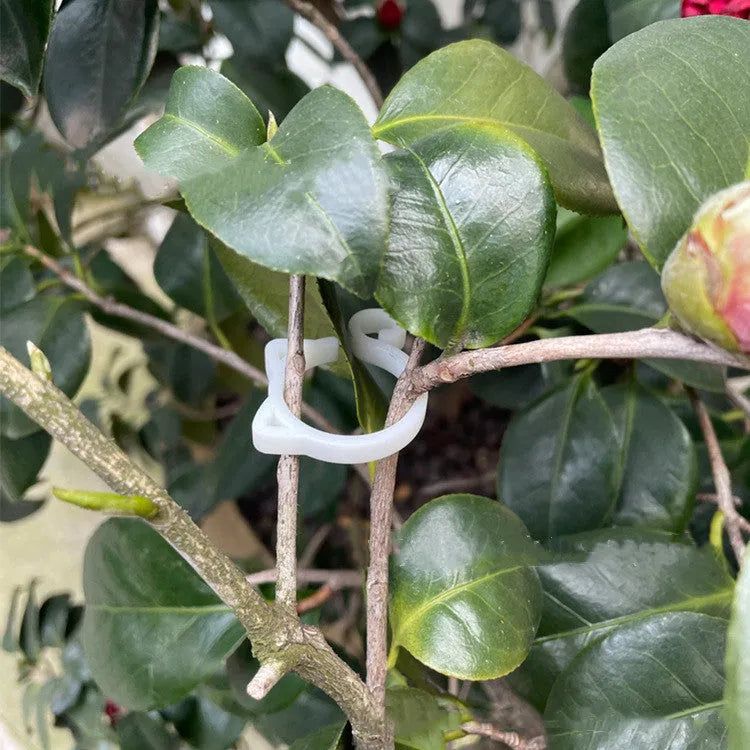 Cat-shaped plastic plant clip in green red white or yellow measuring 3x4x0.5cm for gardening