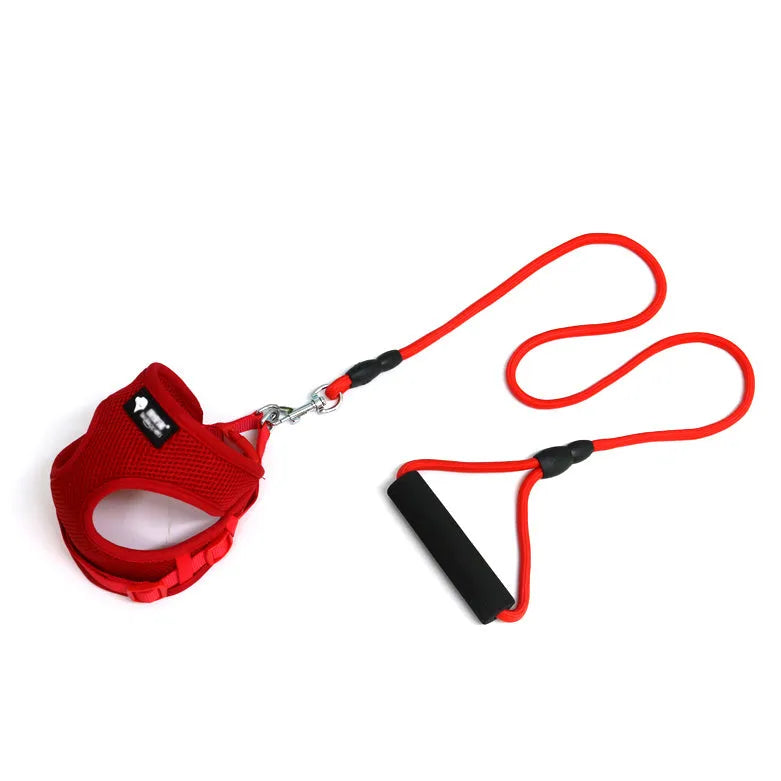 Small dog leash and collar set with adjustable collar and foam handle in multiple colours