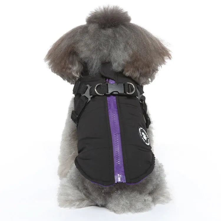 Dog wearing a black insulated chest strap winter coat made of polyester.