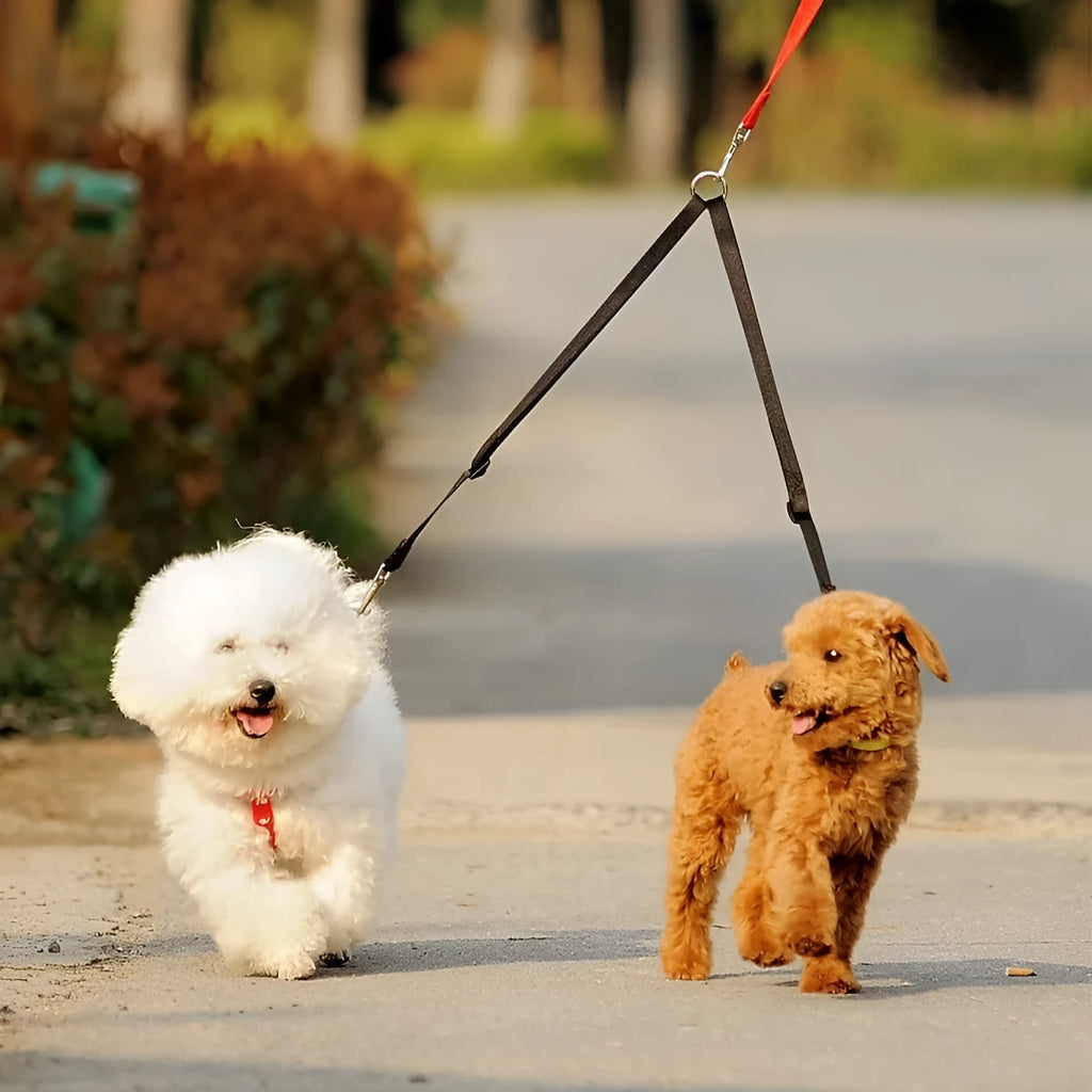 Double dog lead coupler in nylon, available in black, blue, purple, and red, sizes small medium large, 45cm length