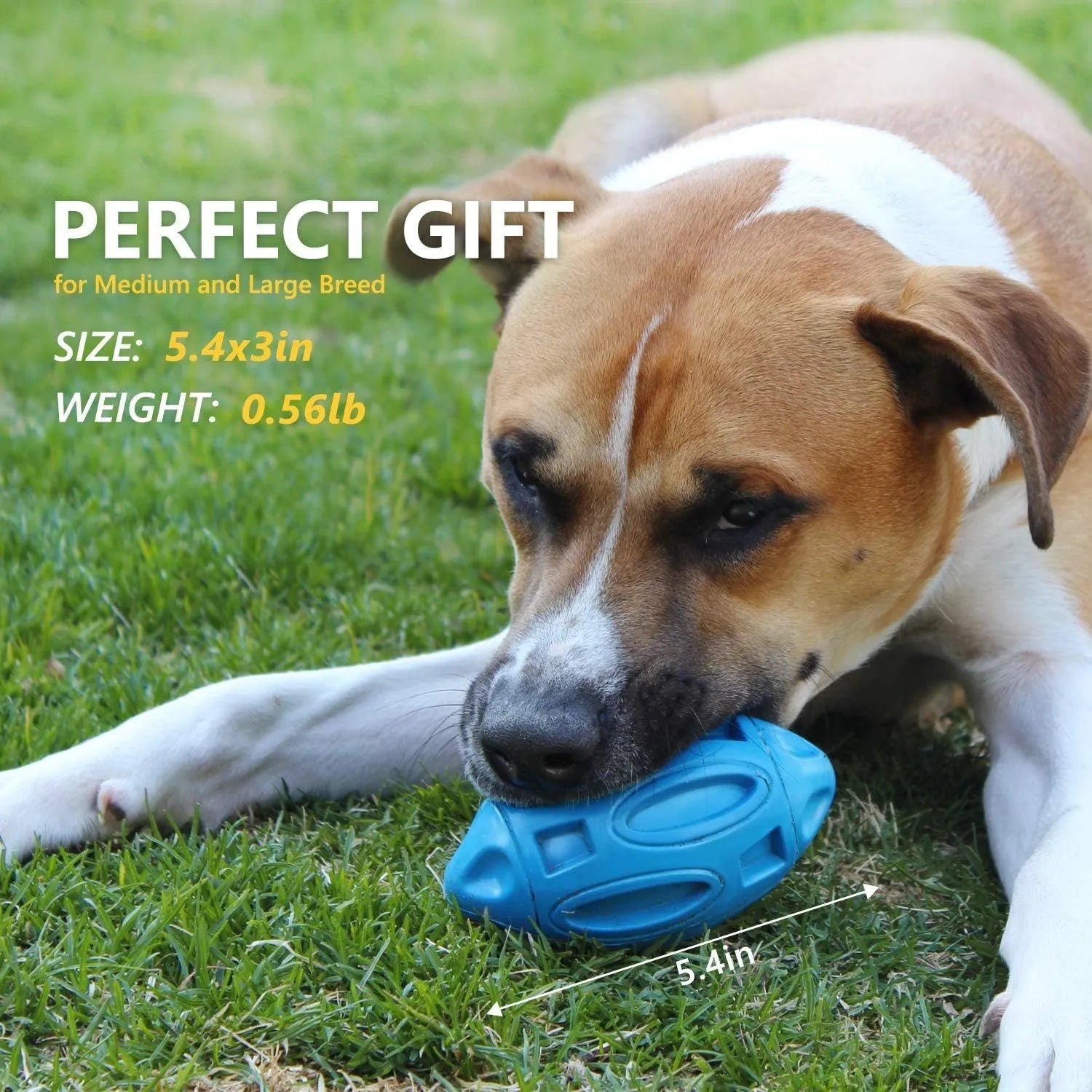 Blue green orange squeaky rubber chew toy for medium large breed dogs with aggressive chewing habits