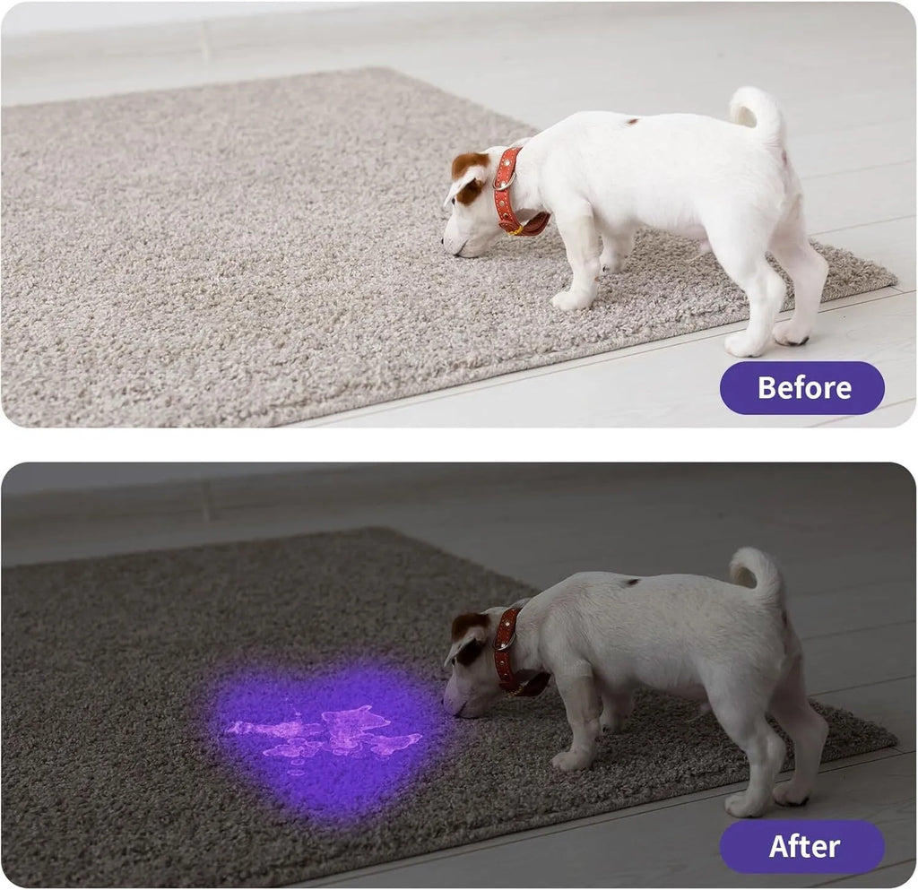 Black aluminium alloy UV flashlight torch for detecting pet urine stains and bed bugs