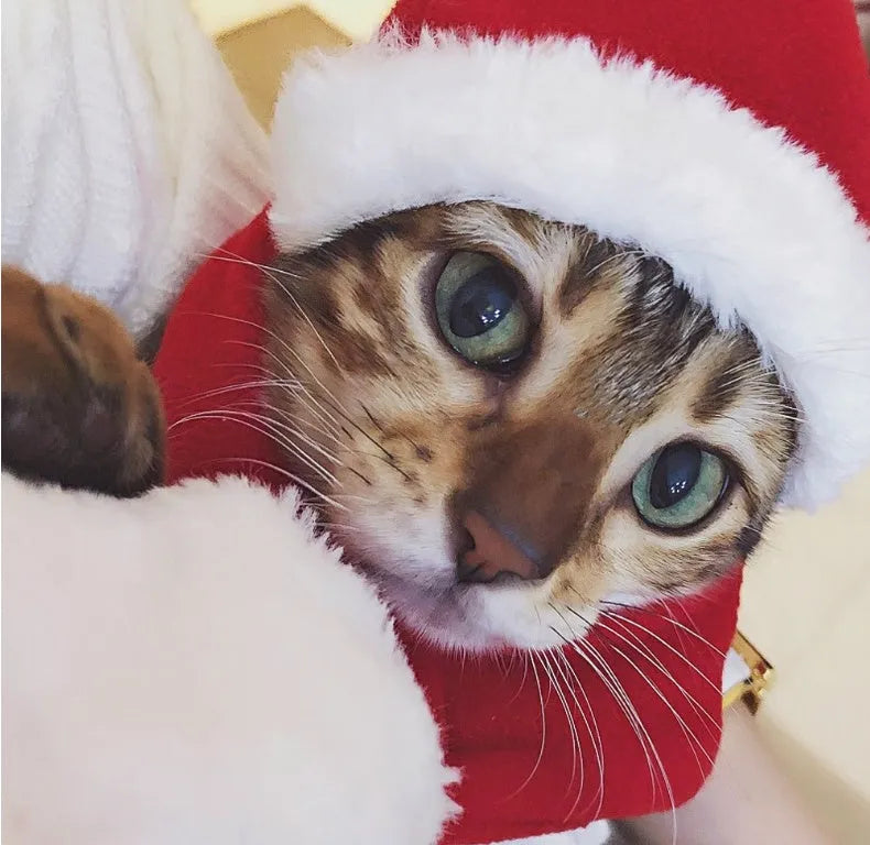 Red Christmas pet hat and scarf set in short plush, one size, for cats dogs and small pets