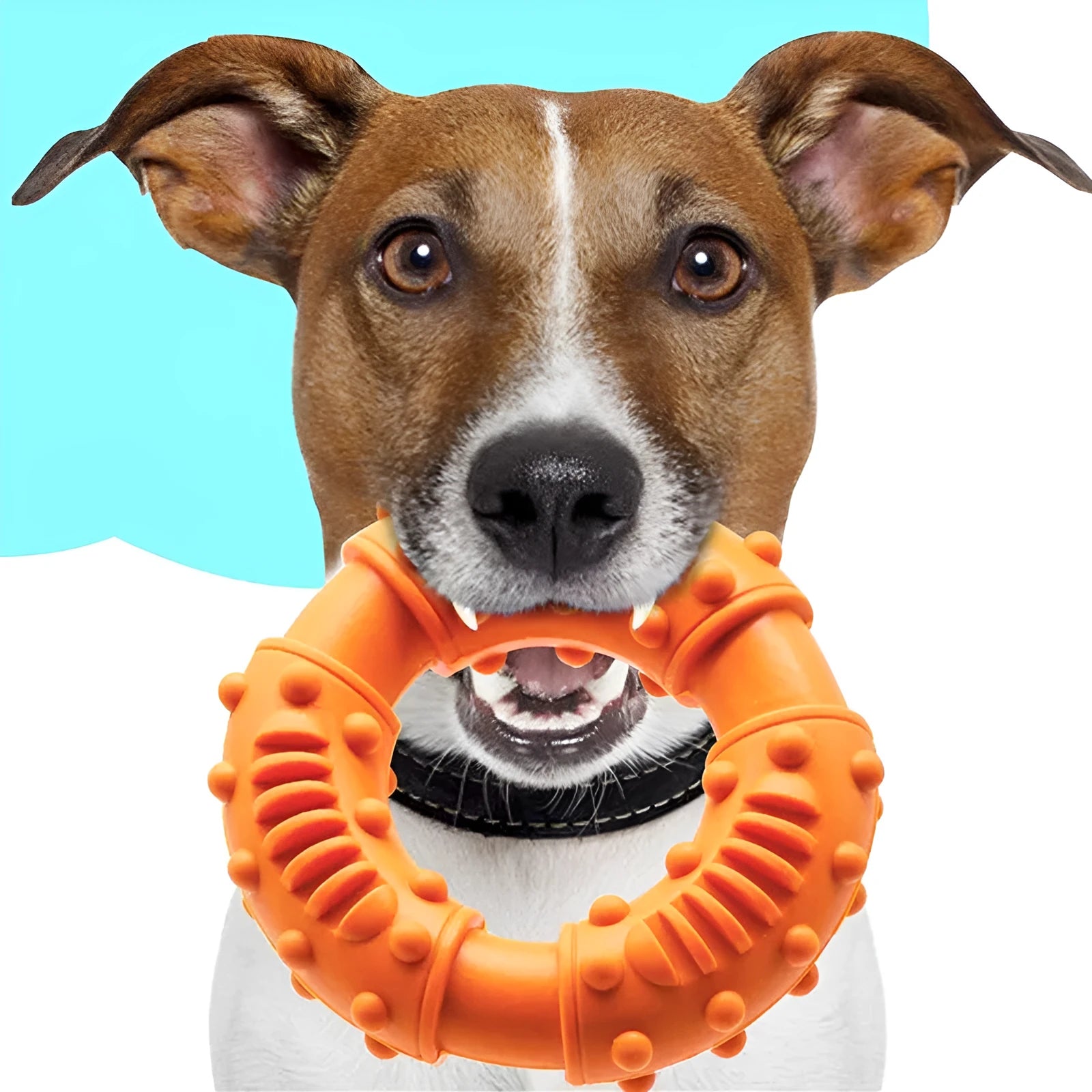 Blue hollow rubber dog fetch stick toy for outdoor play with large dogs