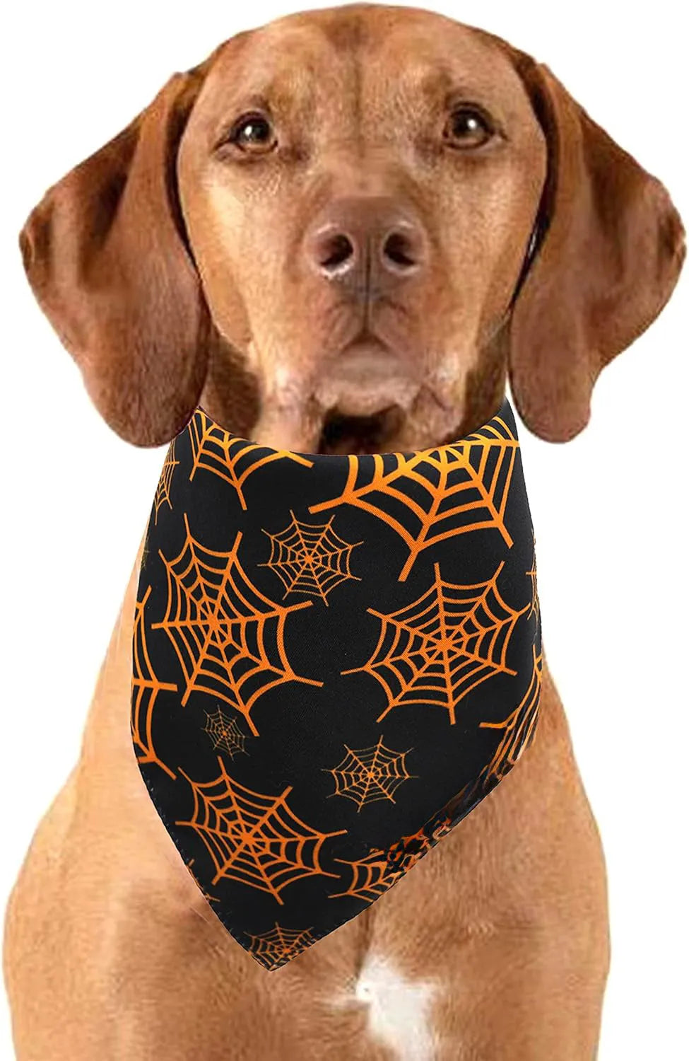 Halloween dog bandana with pumpkin and spider web patterns in black and orange colours