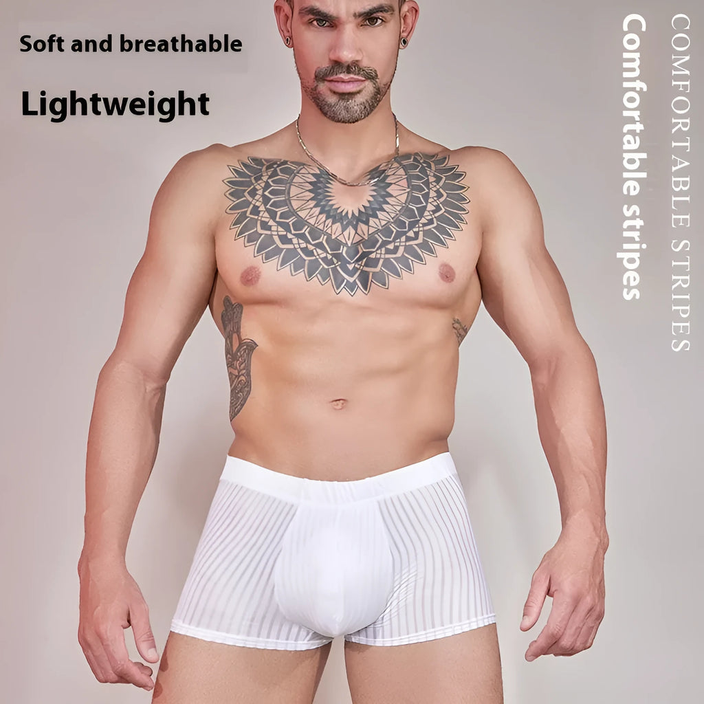 Men's striped underwear in thin nylon fabric showing transparent design in black, white and dark grey colours