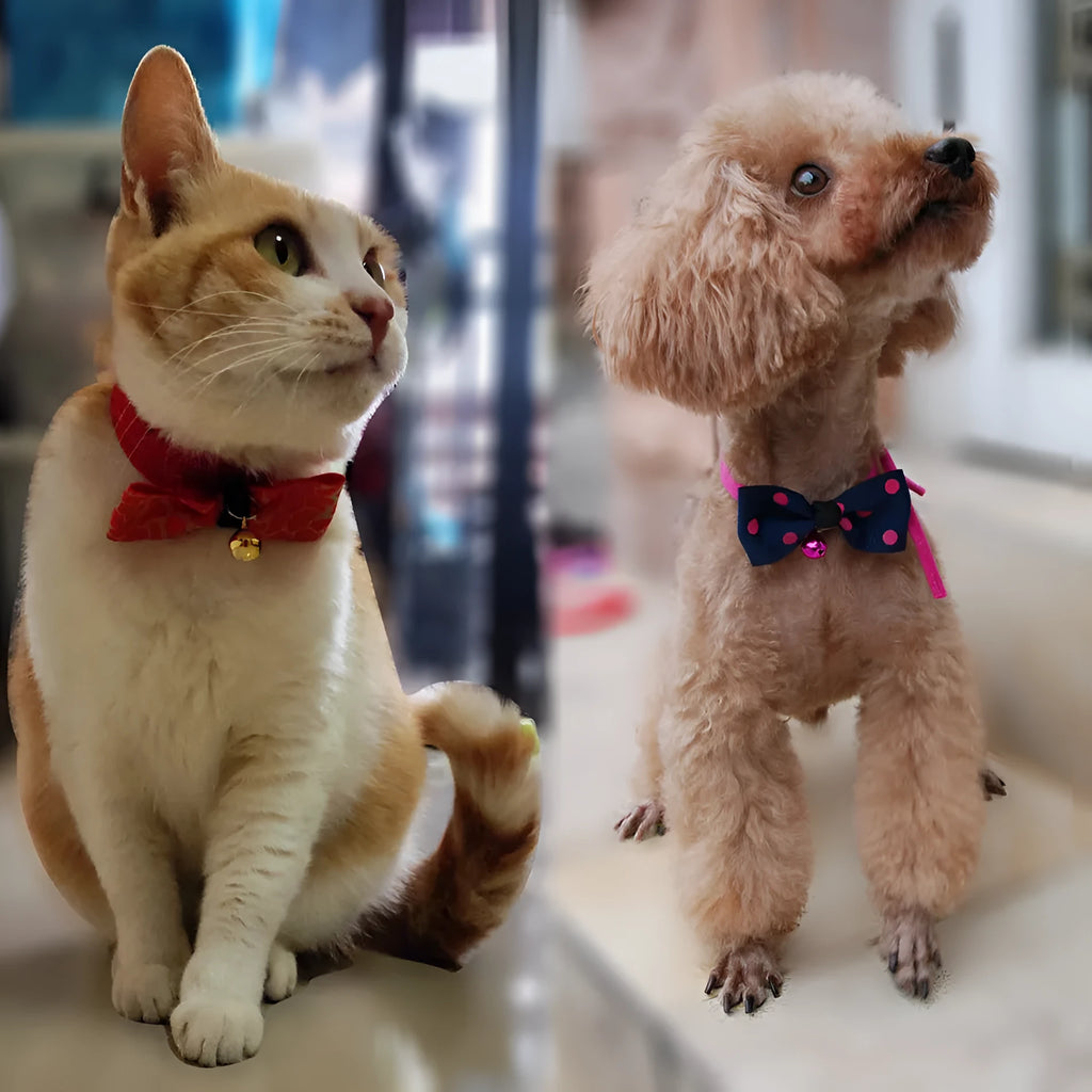 Pet bow tie with copper bell and adjustable neck band, polyester fabric, for dogs and cats, up to 56 cm