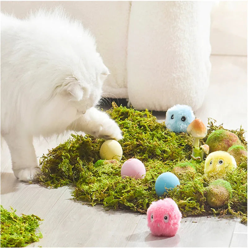 Glowing plush cat toy ball with catnip in blue frog design on white background