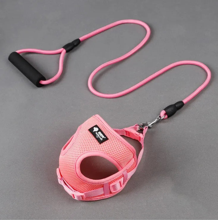 Small dog leash and collar set with adjustable collar and foam handle in multiple colours