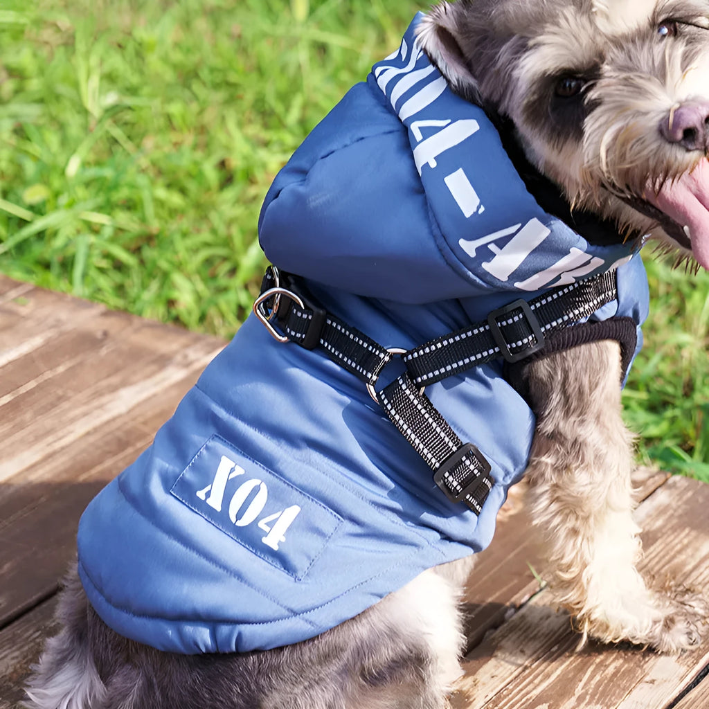 Red waterproof fleece-lined dog winter jacket with hood on small dog