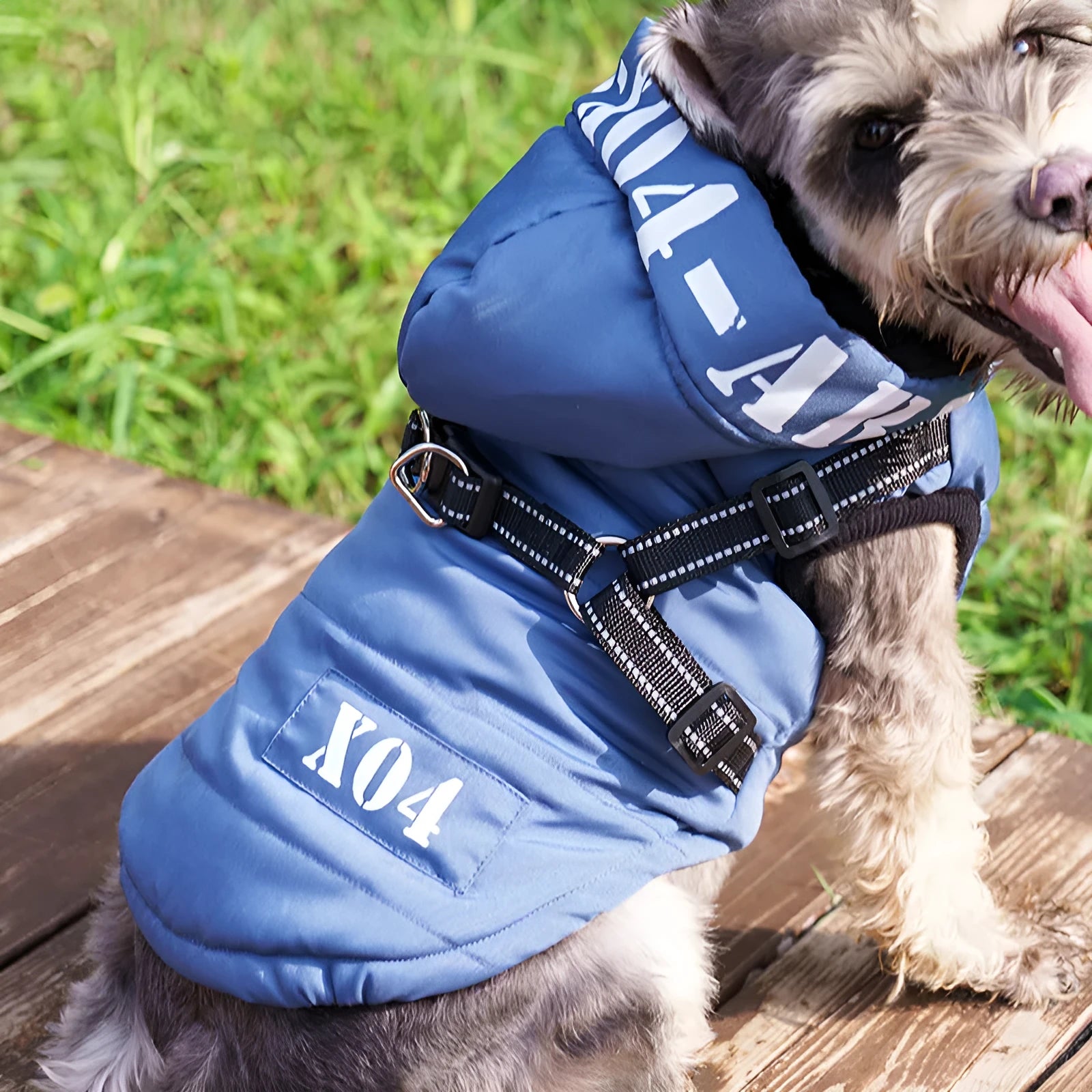 Red waterproof fleece-lined dog winter jacket with hood on small dog