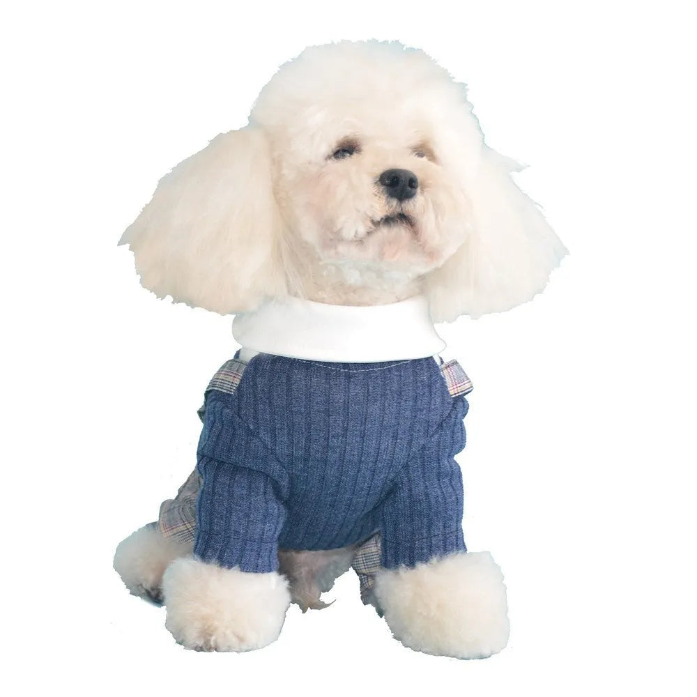 Orange cotton button-up shirt on a small dog, showing long sleeves and collar.