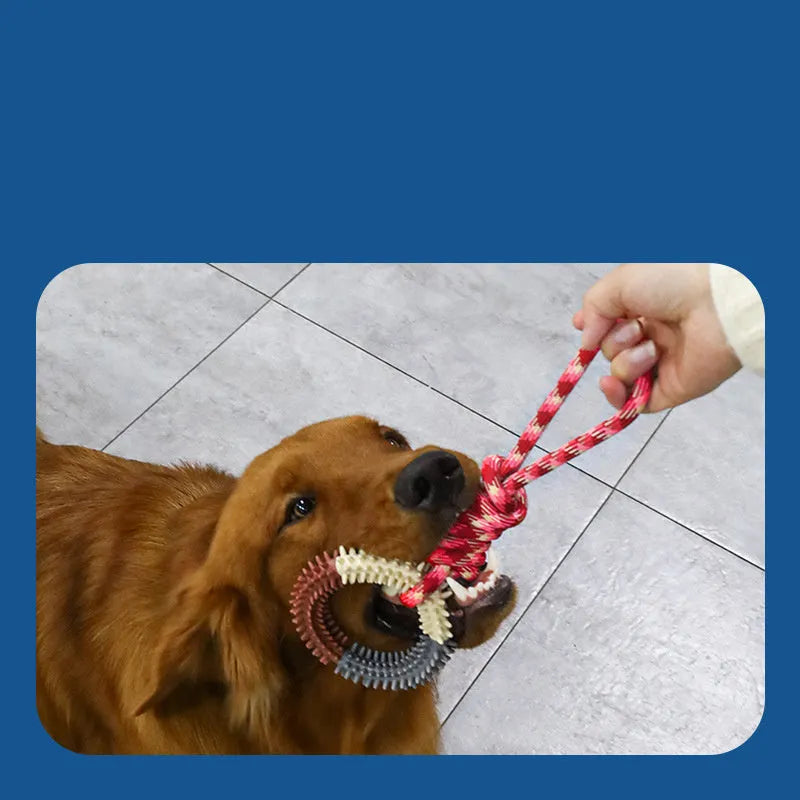 Blue braided rope knot dog toy showing knotted design and textured surface