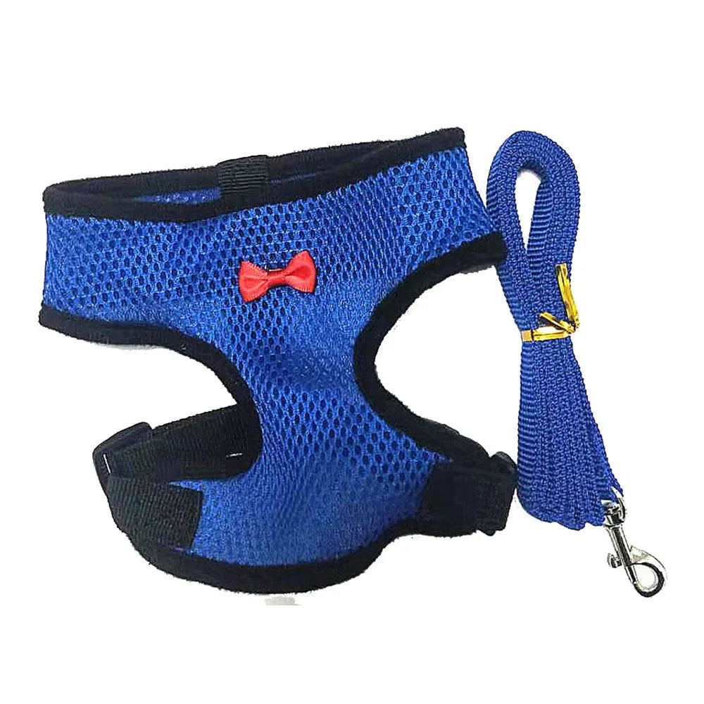 Poultry chicken vest harness with matching collar bow on a size chart showing XS to XL measurements and 110cm rope.