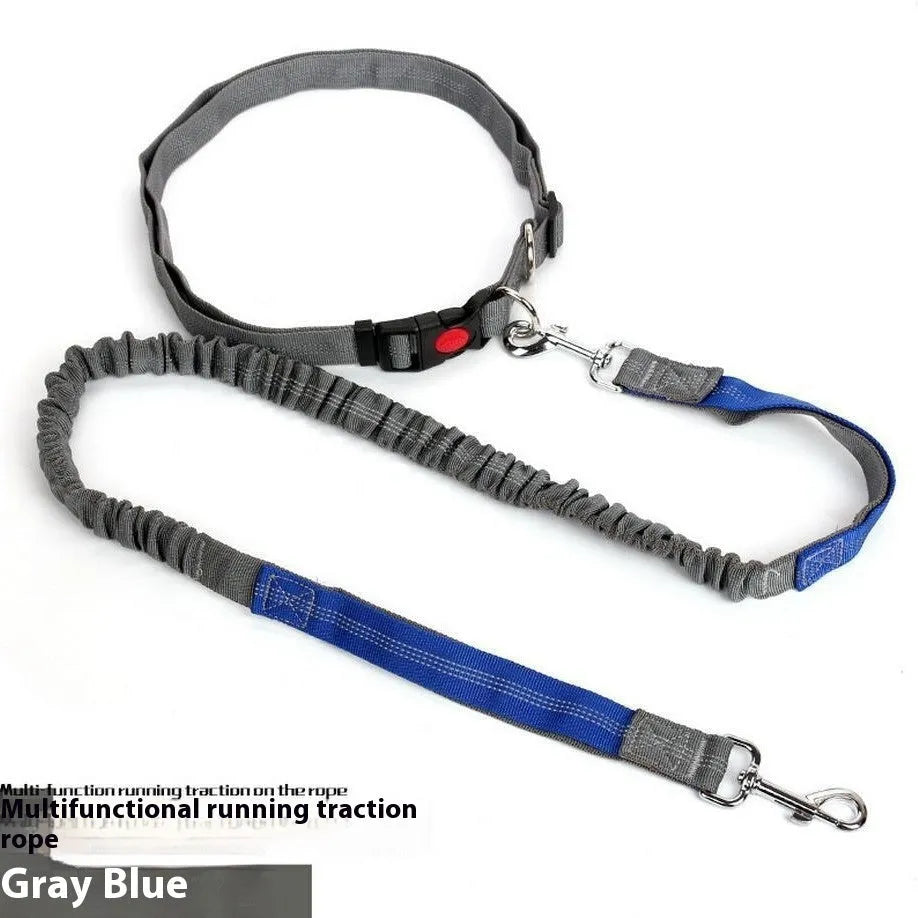 Outdoor running dog leash with reflective strip and elastic sling in a two-tone colour combination.