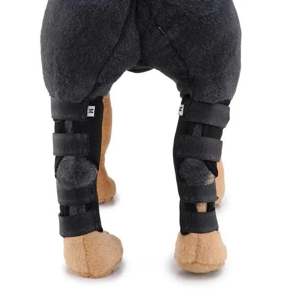 Dog leg brace support wraps in black, blue, and red for injury recovery and wound protection