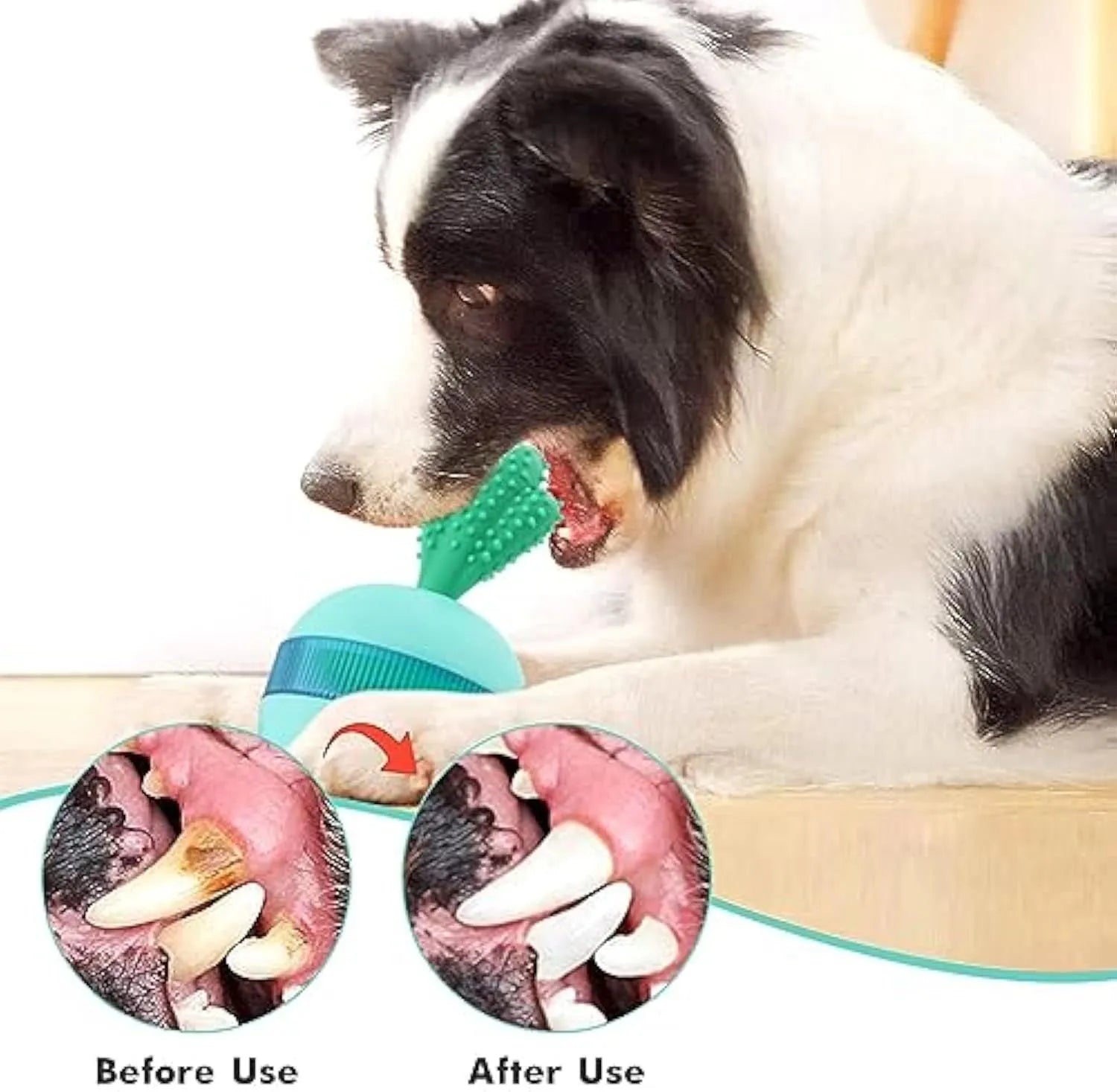 Blue durable rubber treat dispensing tumbler ball toy for medium large dogs