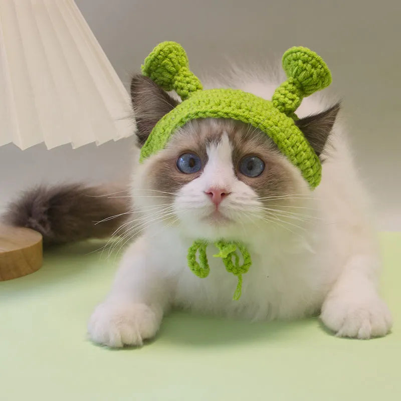 Handmade knitted green acrylic hat for small cat or dog, average size, casual style