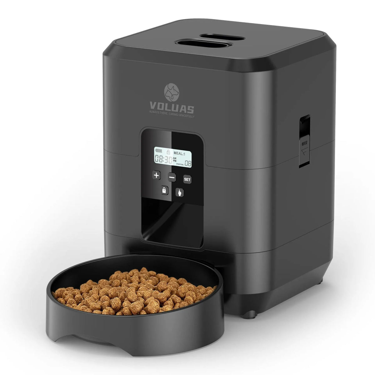 Automatic pet feeder with WiFi connectivity and video monitoring for cats with UK power adapter