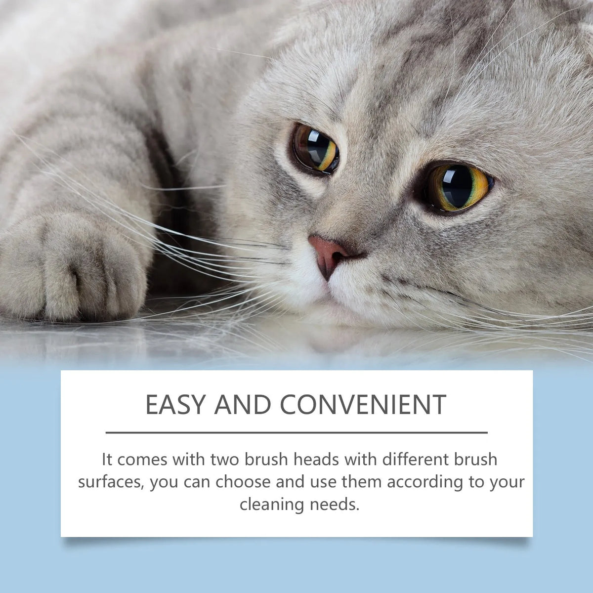 Pet oral cleaning care set with 30g solution and brush for dogs and cats