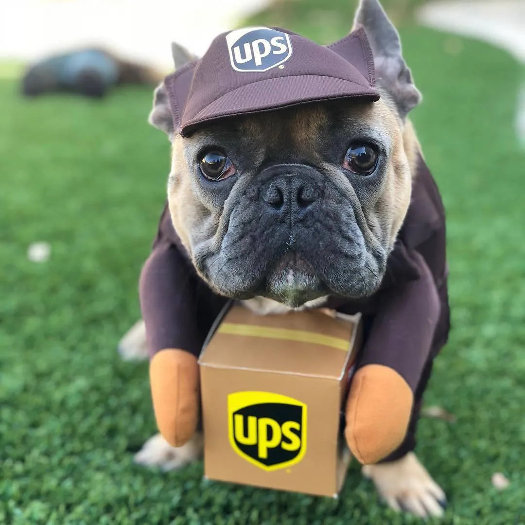 Funny Express pet clothes in brown cloth for dogs and cats size S