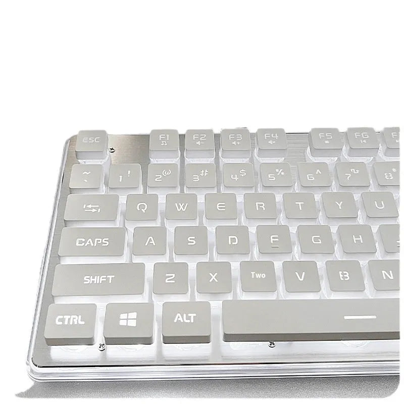 Wired mechanical feel keyboard with mute button in ABS plastic, showing white light variant