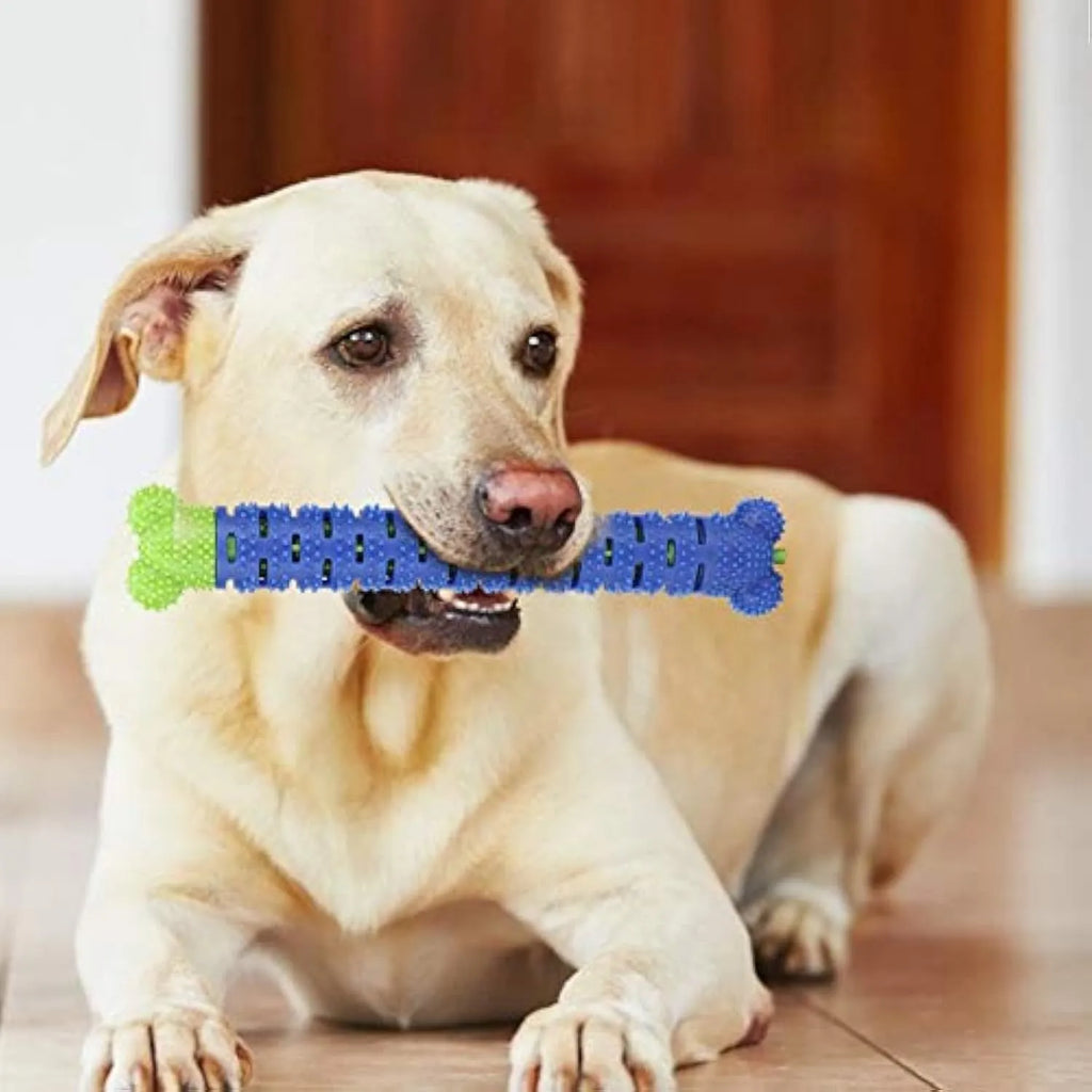 Blue green silicone dog molar tooth cleaner brushing stick with textured brush head and nodules