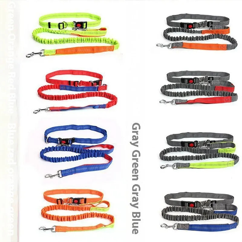 Outdoor running dog leash with reflective strip and elastic sling in a two-tone colour combination.