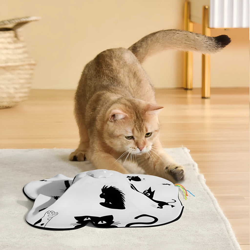 Plastic cat self-play relief teaser toy with picture colour pattern