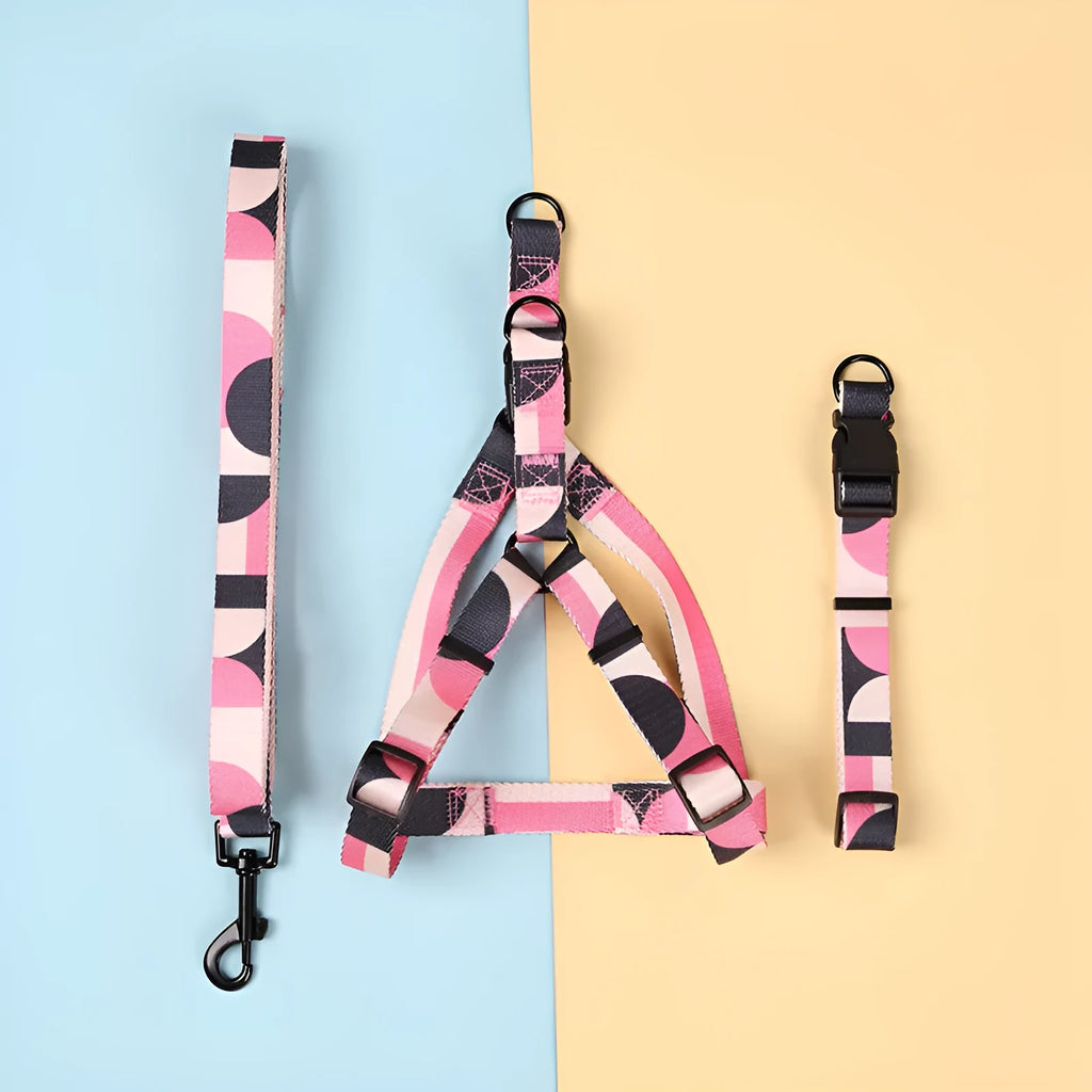Hand holding rope outing dog leash three-piece set in polyester with collar and harness