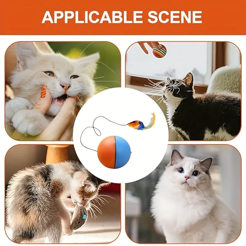Interactive cat toy ball with attached plush mouse in blue and orange colour options