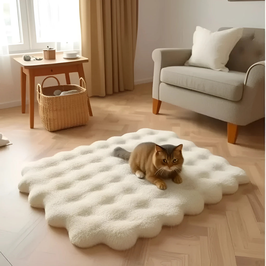 Plush winter warm cat nest mat in bubble velvet with non-slip base, beige colour, 60x80cm size