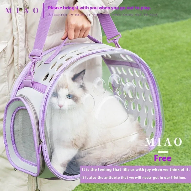 Transparent EVA hard-shell cat backpack carrier in large 42cm size showing space capsule design