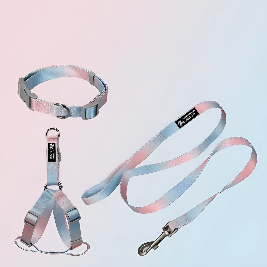 Nylon dog leash set showing gradient colour options including pink/blue, pink/yellow patterns