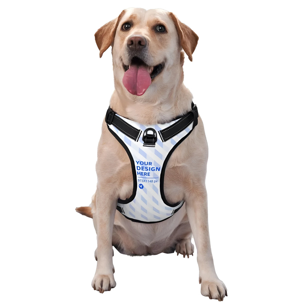 Durable oxford cloth pet leash vest with reflective webbing and DTG print, suitable for outdoor dog walking
