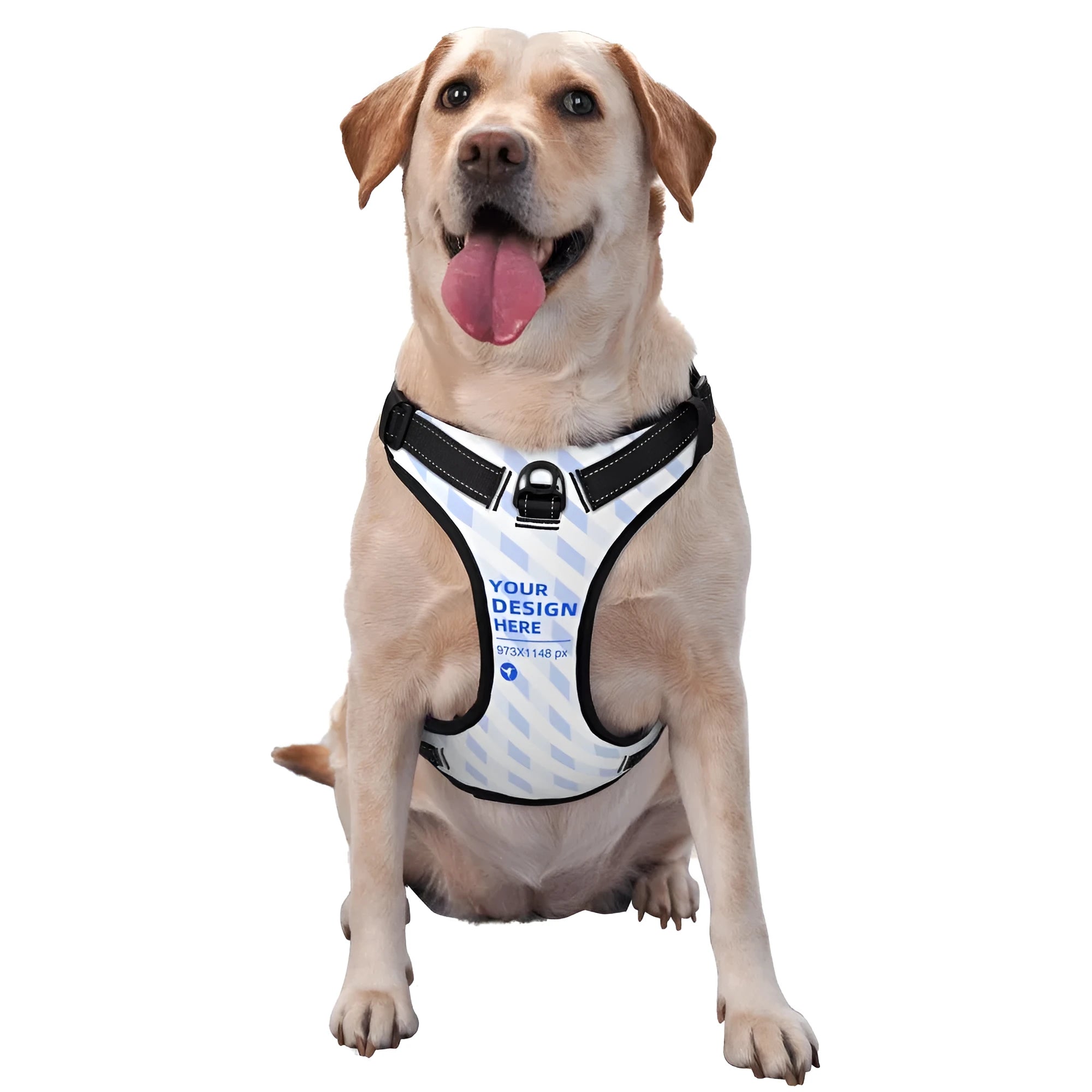 Durable oxford cloth pet leash vest with reflective webbing and DTG print, suitable for outdoor dog walking