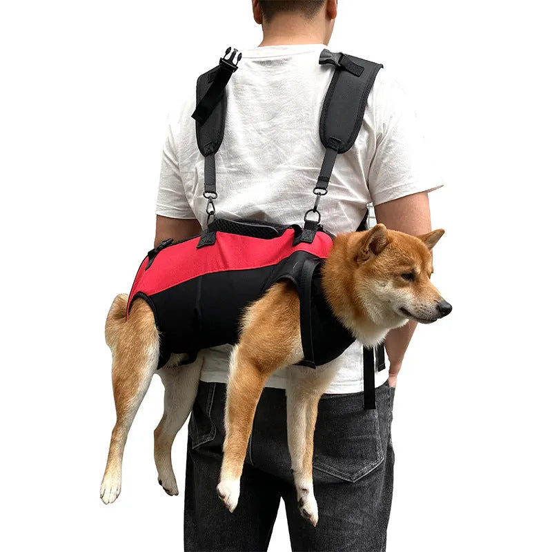 Multifunctional soft Oxford cloth pet backpack stretcher carrier in black with blue trim, shown in backpack mode.