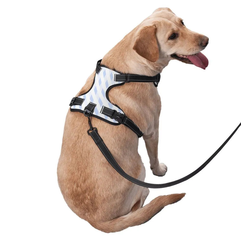 Durable oxford cloth pet leash vest with reflective webbing and DTG print, suitable for outdoor dog walking