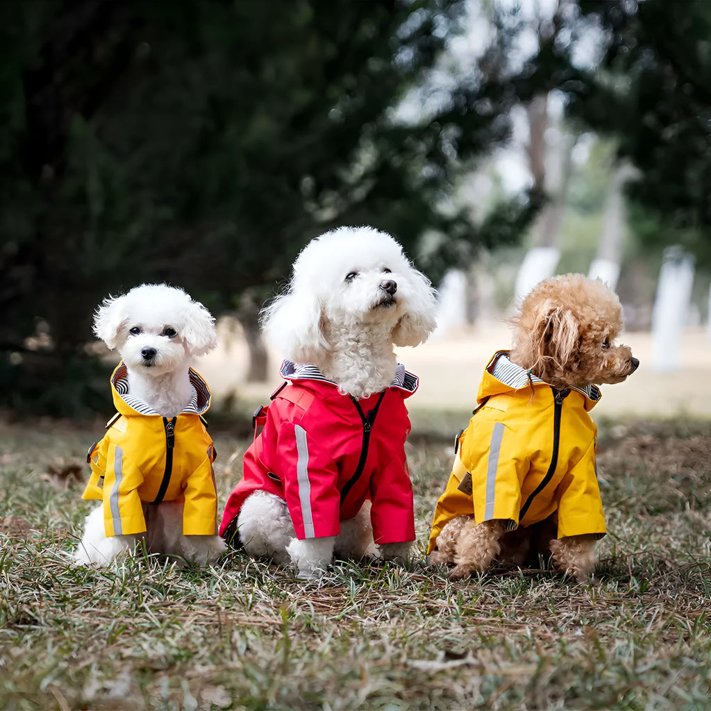 Pet waterproof raincoat in khaki with reflective details, polyester fabric, sized for dogs XS to 2XL