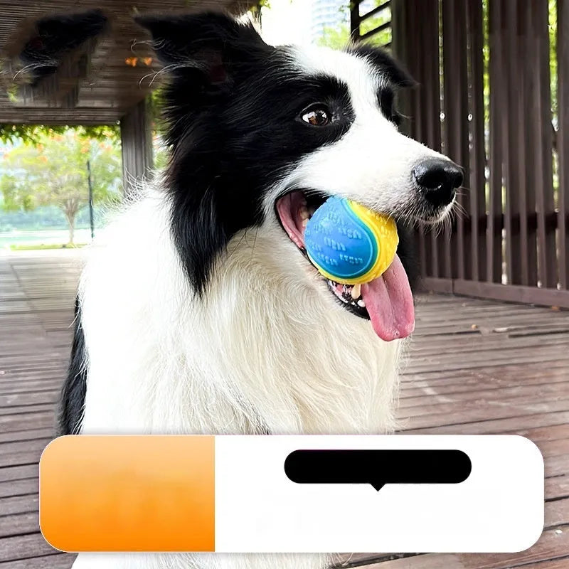 TPR dog training ball with sounding bell in assorted colour combinations measuring 6.5cm