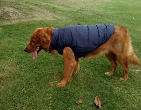 Waterproof polyester dog jacket in brown laying flat showing front view with zip closure