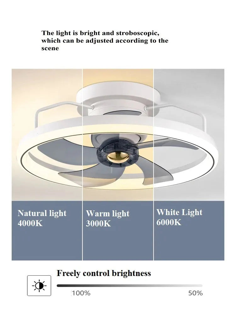 Modern simple style ceiling fan with light fixture, 50cm diameter, with PC blades and acrylic shade.
