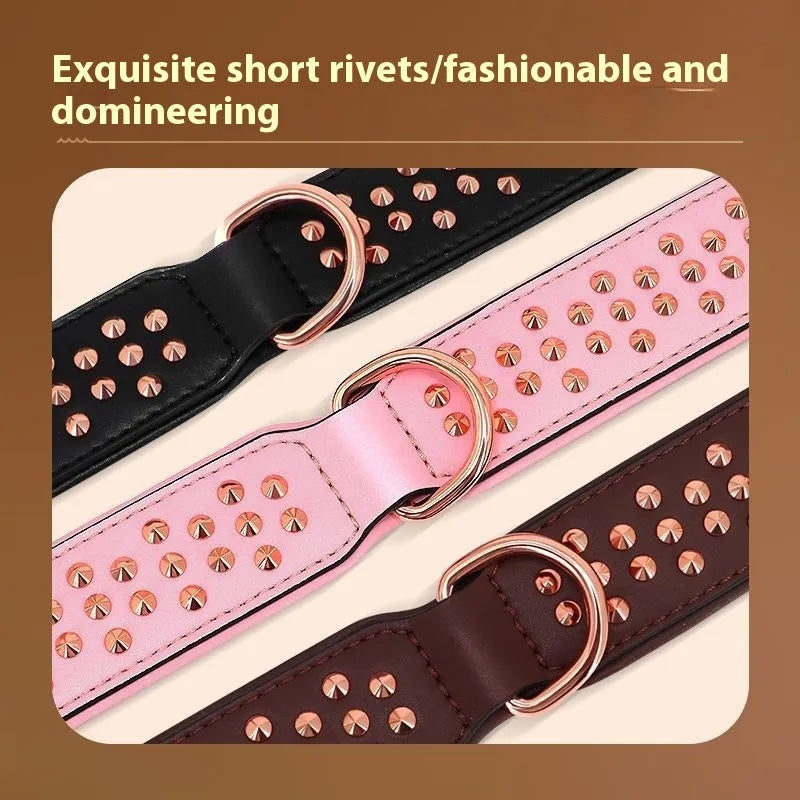 Leather dog collar with metal rivet studs in chocolate brown colour.